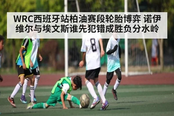 WRC西班牙站柏油赛段轮胎博弈 诺伊维尔与埃文斯谁先犯错成胜负分水岭